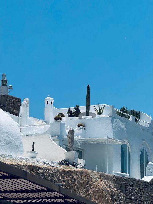 Free Stunning whitewashed building with cacti under a clear blue sky, capturing Mediterranean charm. Stock Photo