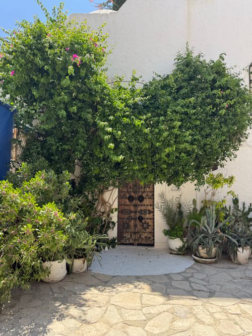 Free Sunny courtyard with lush green plants and rustic wooden door. Perfect for serene, outdoor mediterranean feel. Stock Photo