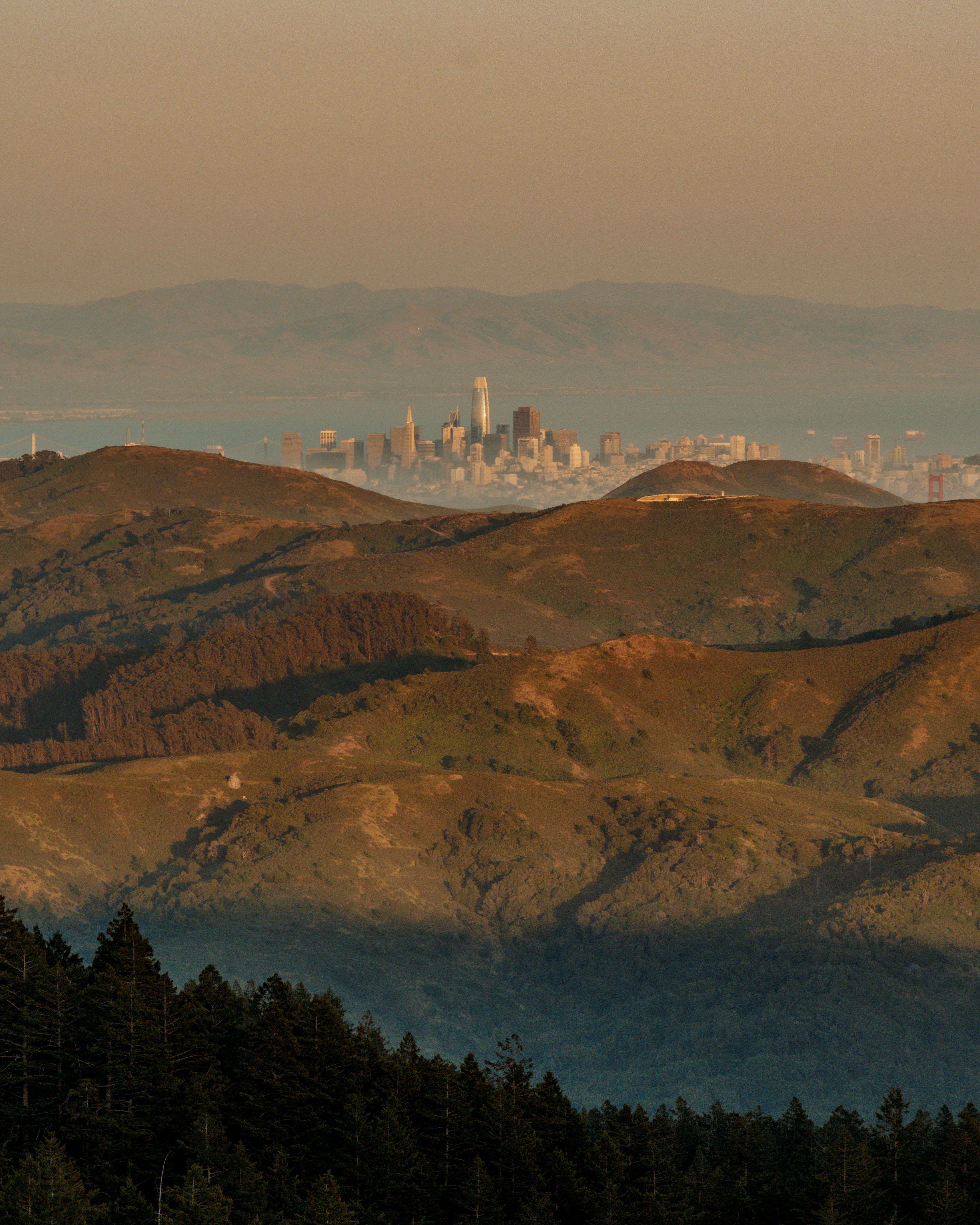 Venture capital drives San Francisco’s startup ecosystem expansion