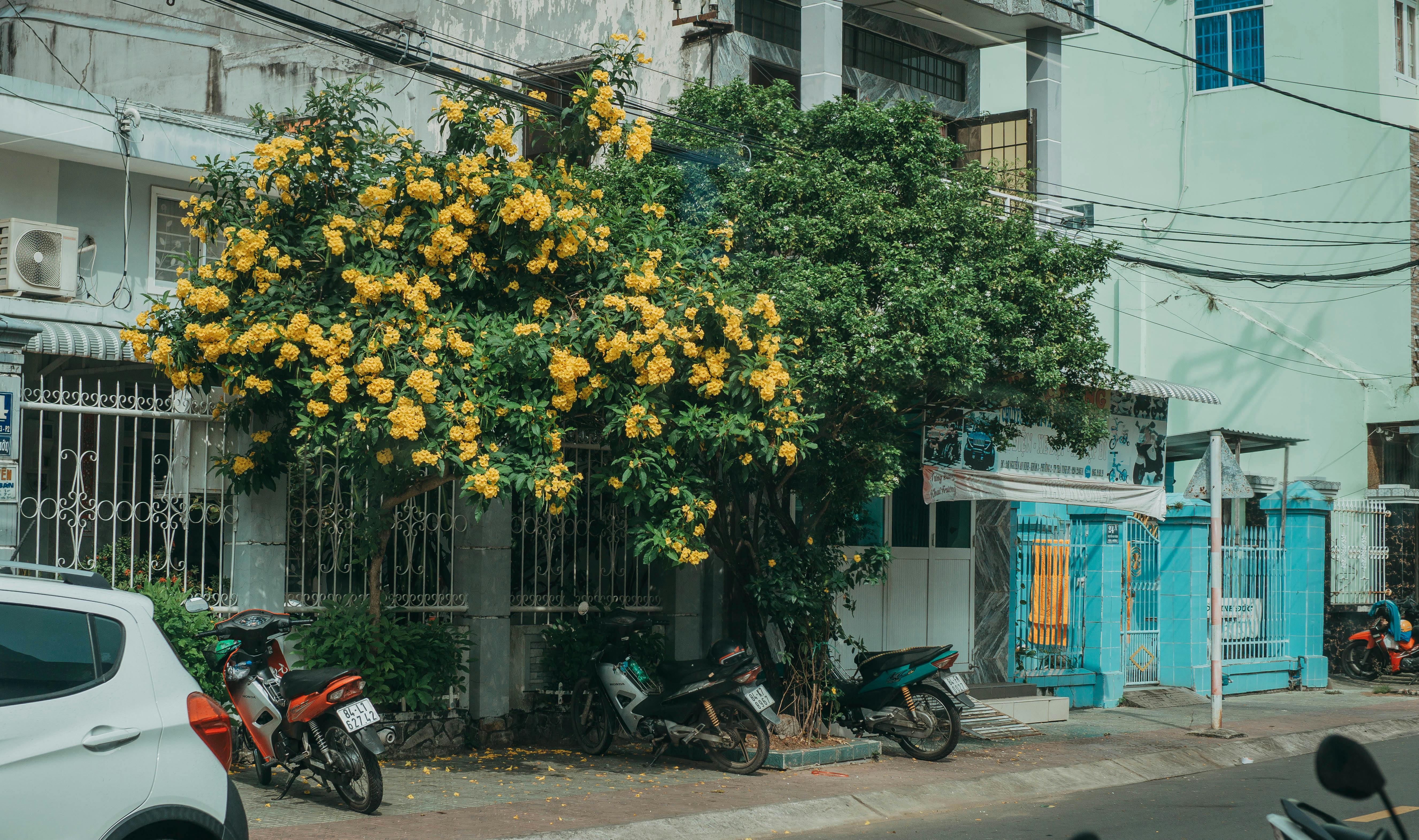 The Small Business Growth Codex: Deconstructing the Art of Unscalable Experiments into Scalable Success