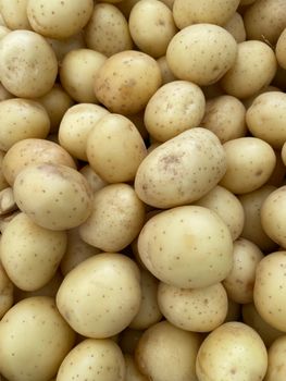 U.s. # 1 White Potatoes