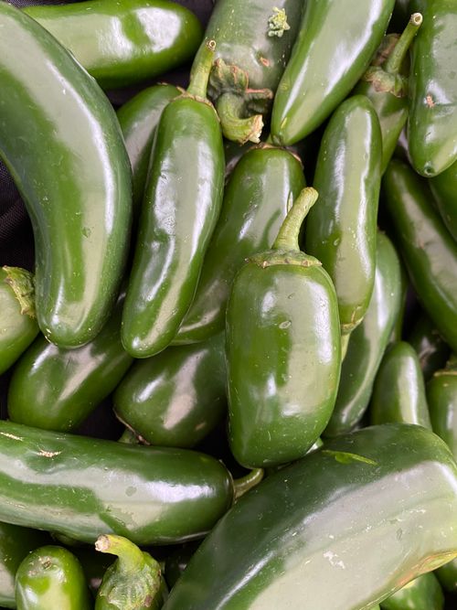 Free Close-up view of fresh green jalapeños, perfect for spicy dishes and food presentations. Stock Photo