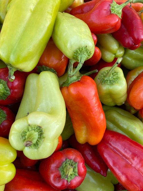 Free A colorful assortment of fresh red, orange, and yellow bell peppers at a market stall. Stock Photo