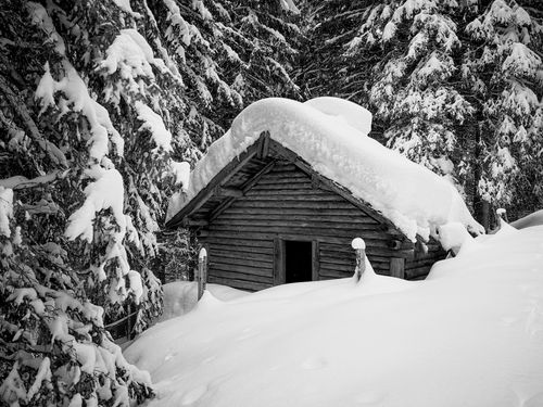 Free Black and white photo of a snowy cabin surrounded by forest in Trentino-Alto Adige. Stock Photo
