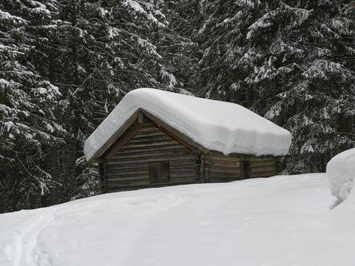 Free A rustic cabin surrounded by snow-covered trees in Predazzo, Italy. Stock Photo