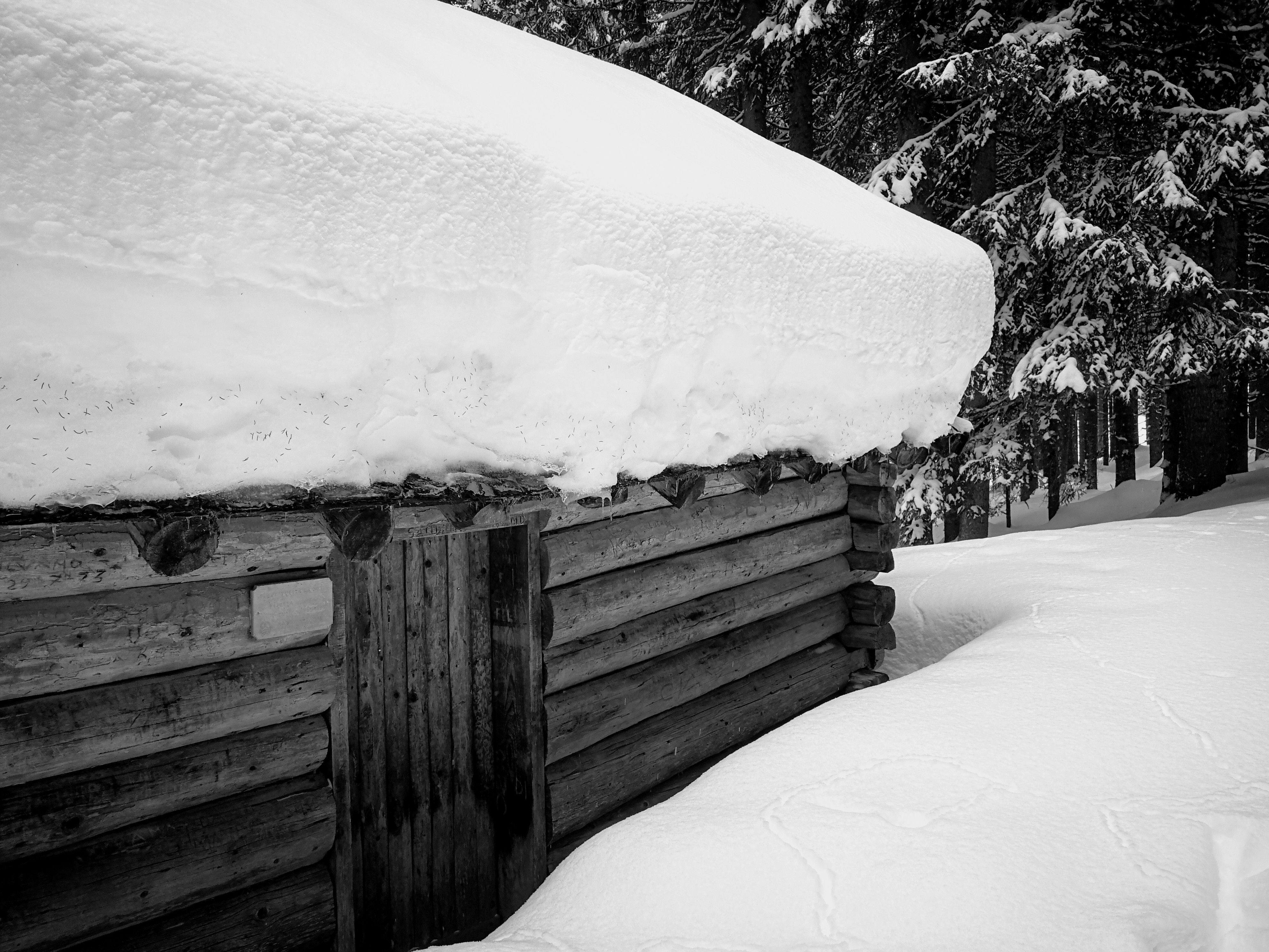 A snow-laden wooden cabin nestled in the serene forests of Predazzo, Italy.