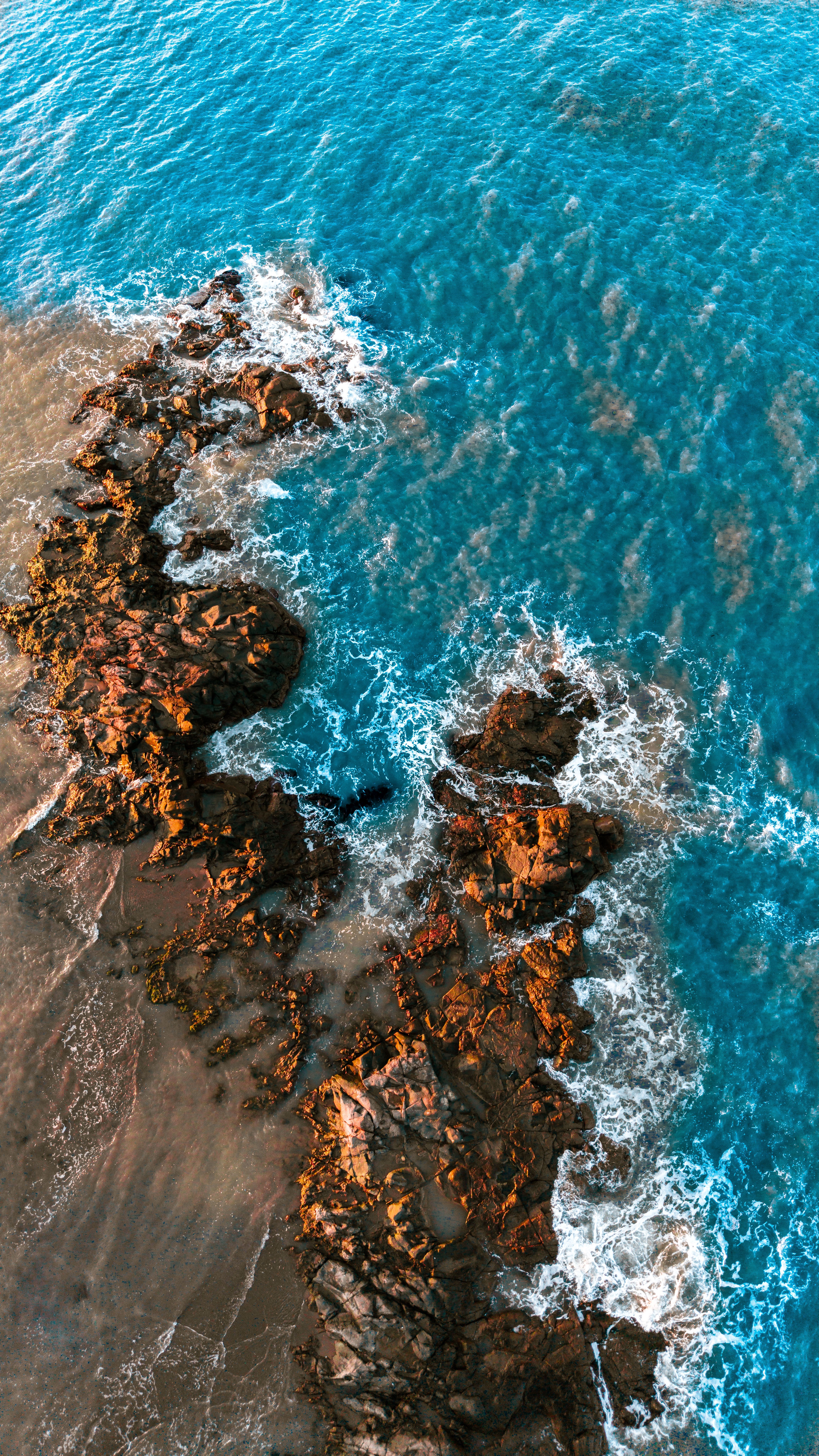 Tvk+Wallpaper+4k Photos, Download The BEST Free Tvk+Wallpaper+4k Stock ...