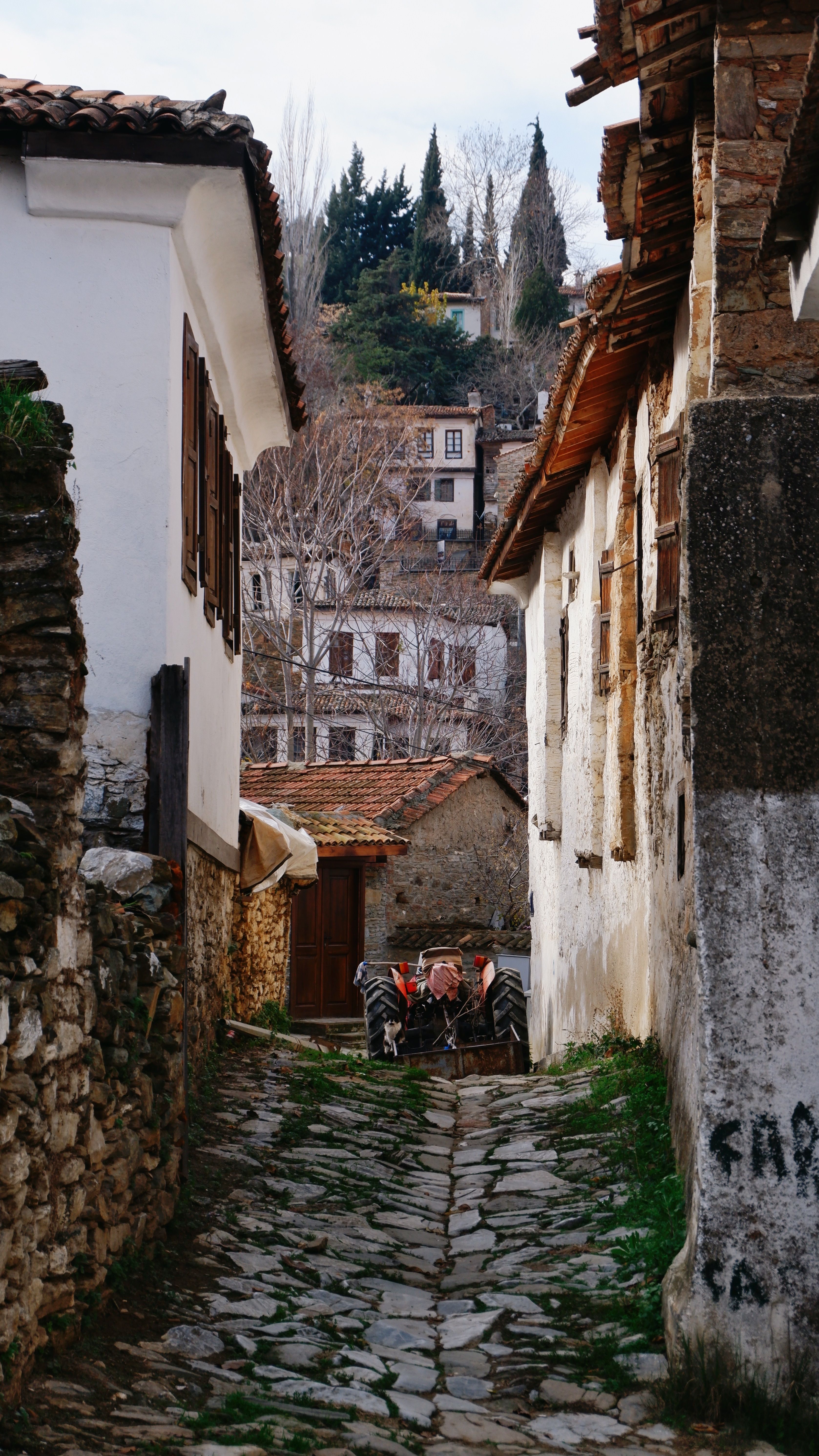 Charming Rustic Alley with Cobblestone Pathway · Free Stock Photo