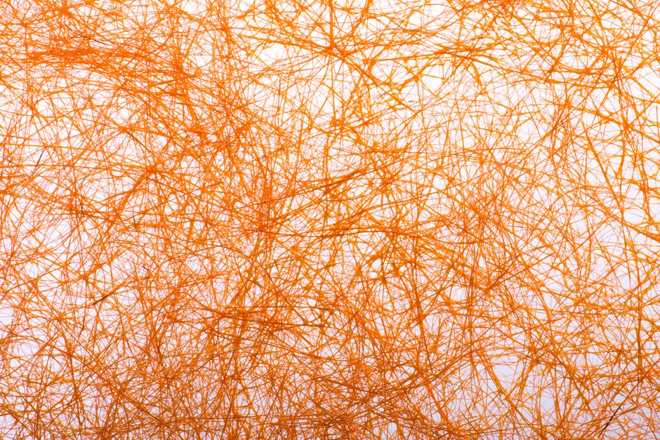 Intricate web of orange fibers creating an abstract pattern against a light backdrop.