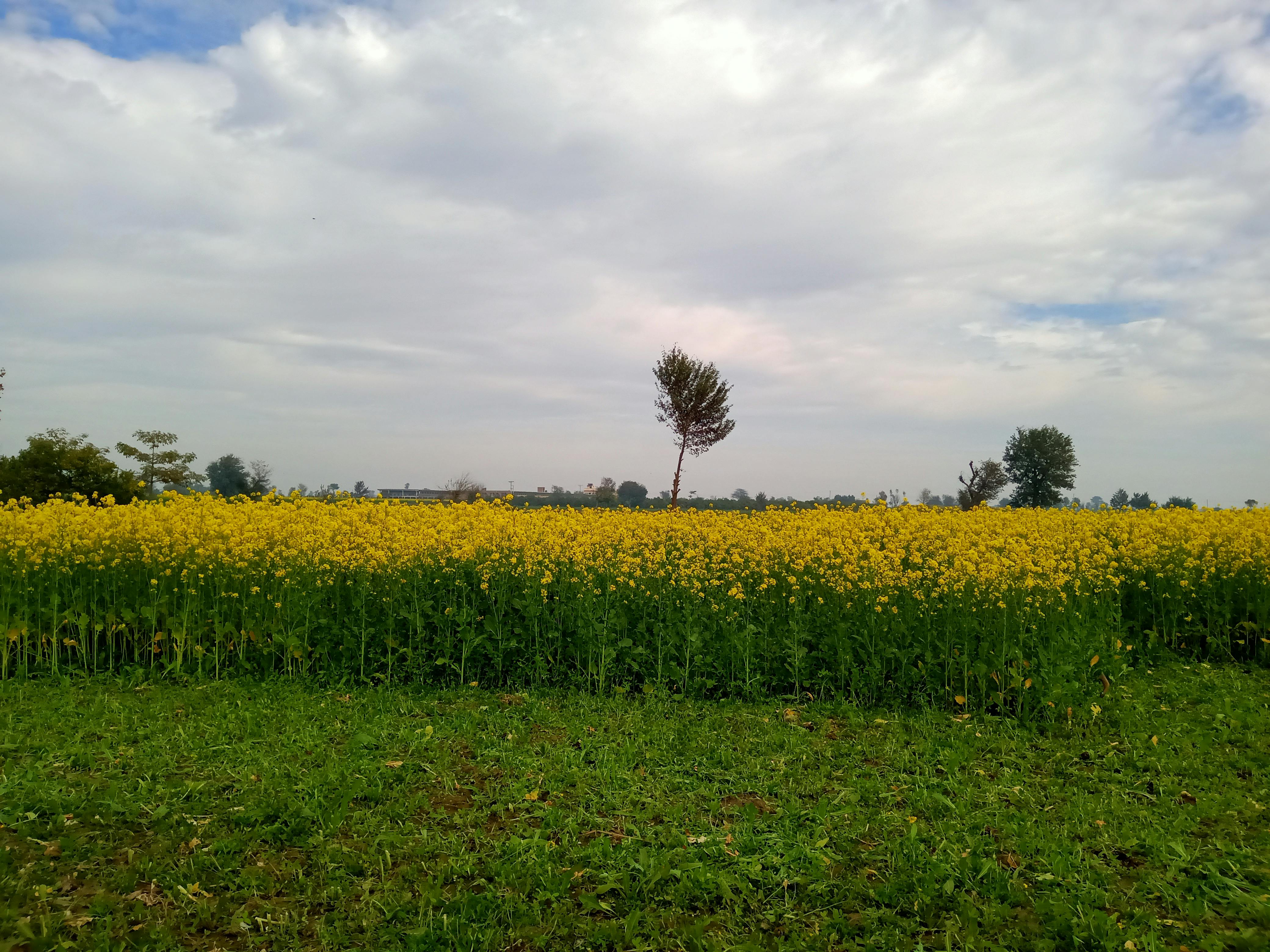 Безмежність космосу та натхнення.