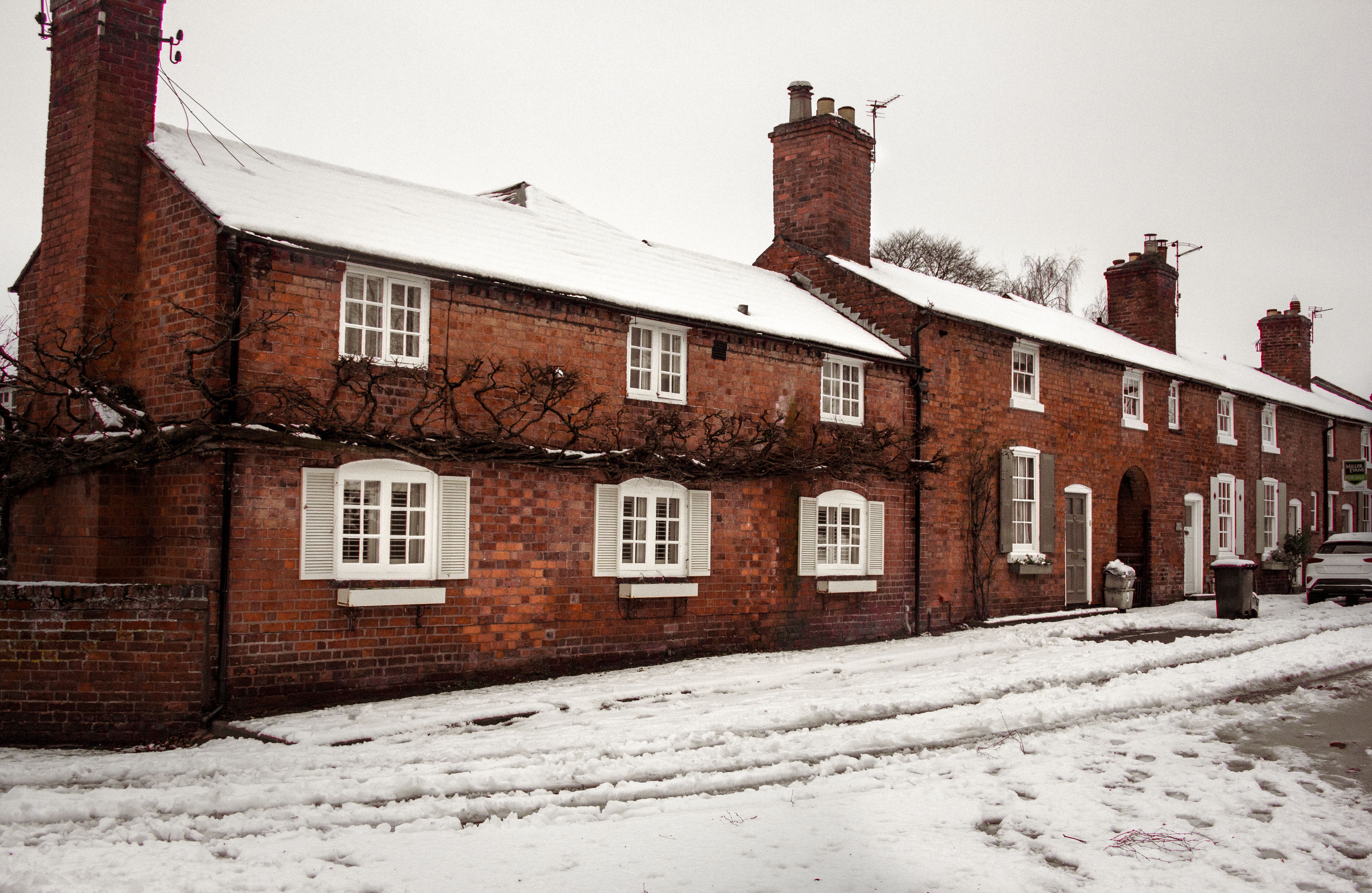 Cold+Pfp Photos, Download The BEST Free Cold+Pfp Stock Photos & HD Images
