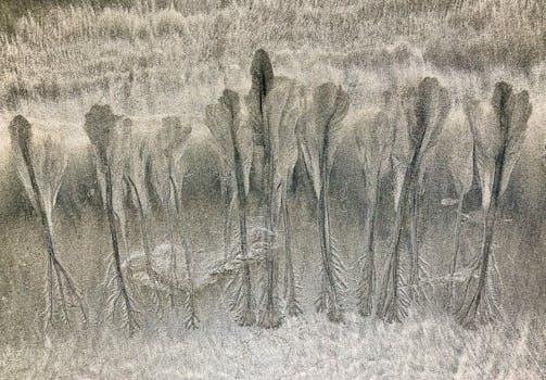 Tamarindo, Costa Rica photo 3