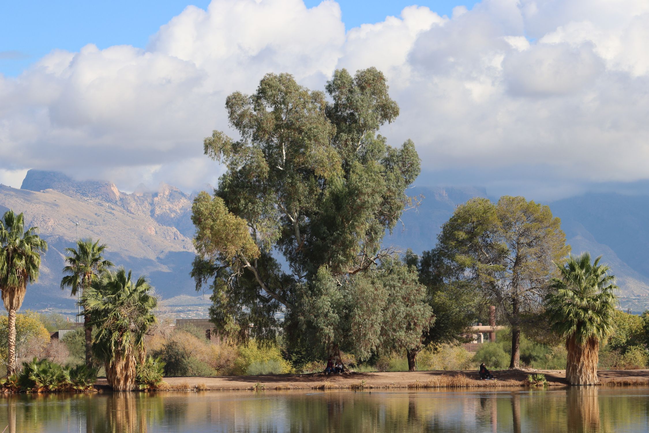 Beautiful landscape with mountains and trees reflected in water in Tucson, Arizona.