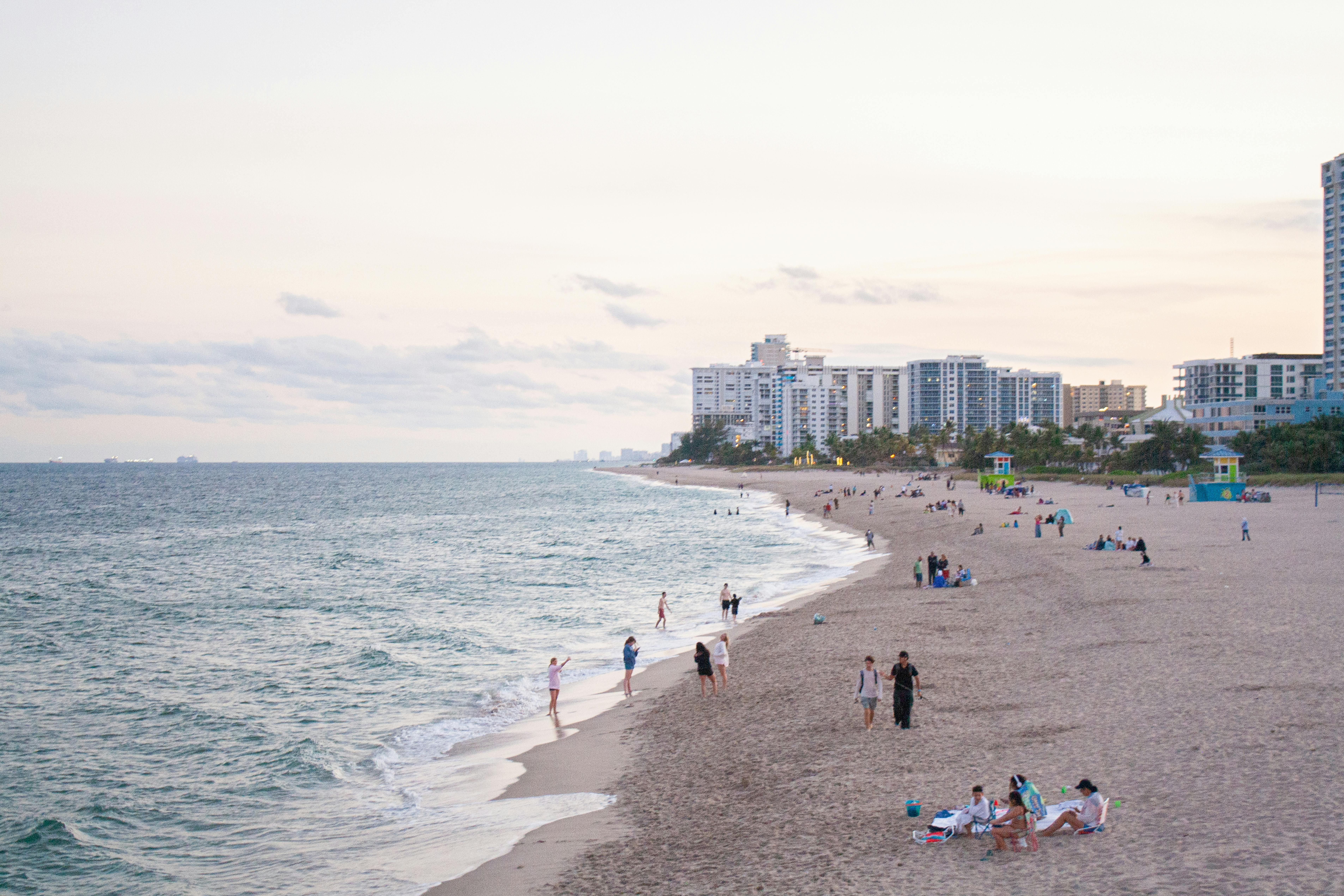 Florida removes sociology requirement from general education over bias concerns — Photo by Kate L on Pexels