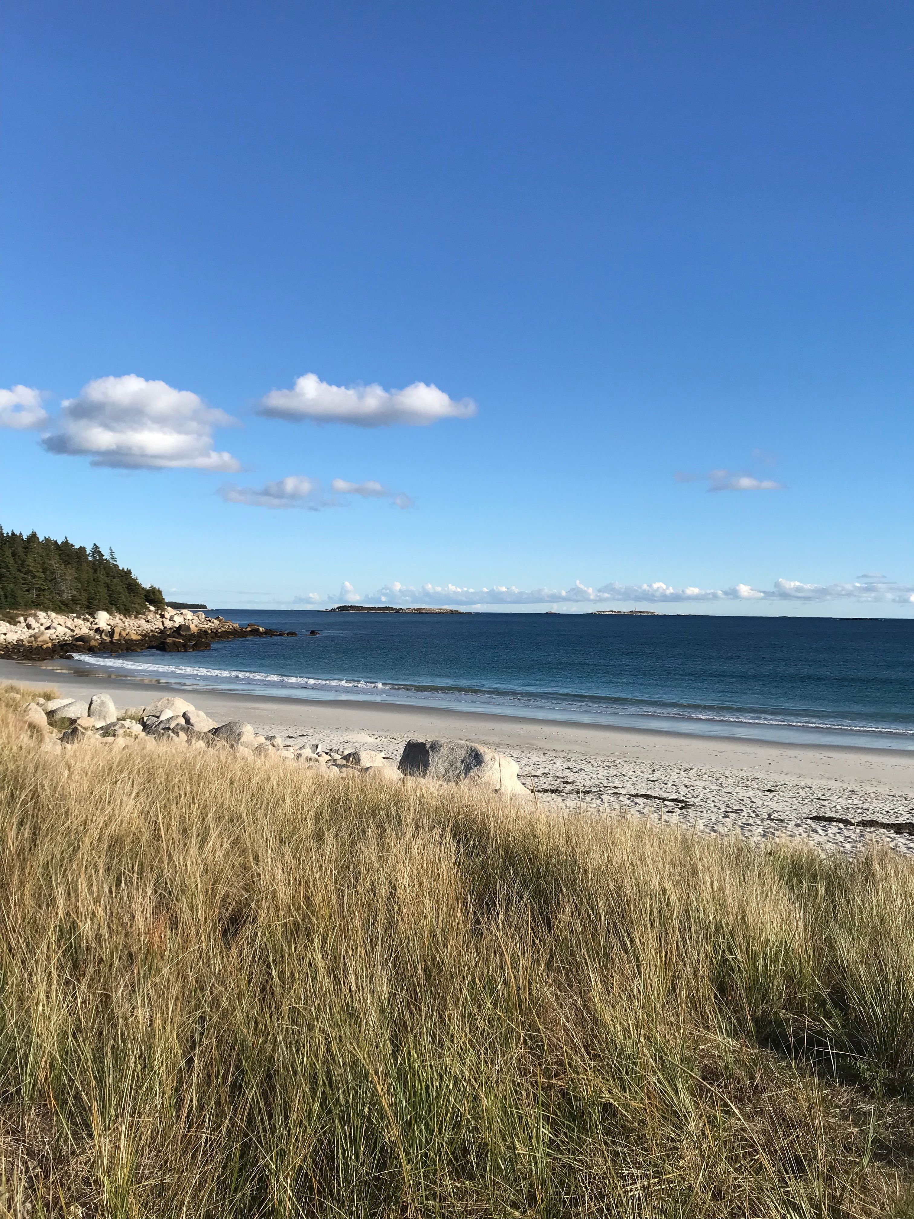 Scenic Beach View with Clear Blue Sky · Free Stock Photo