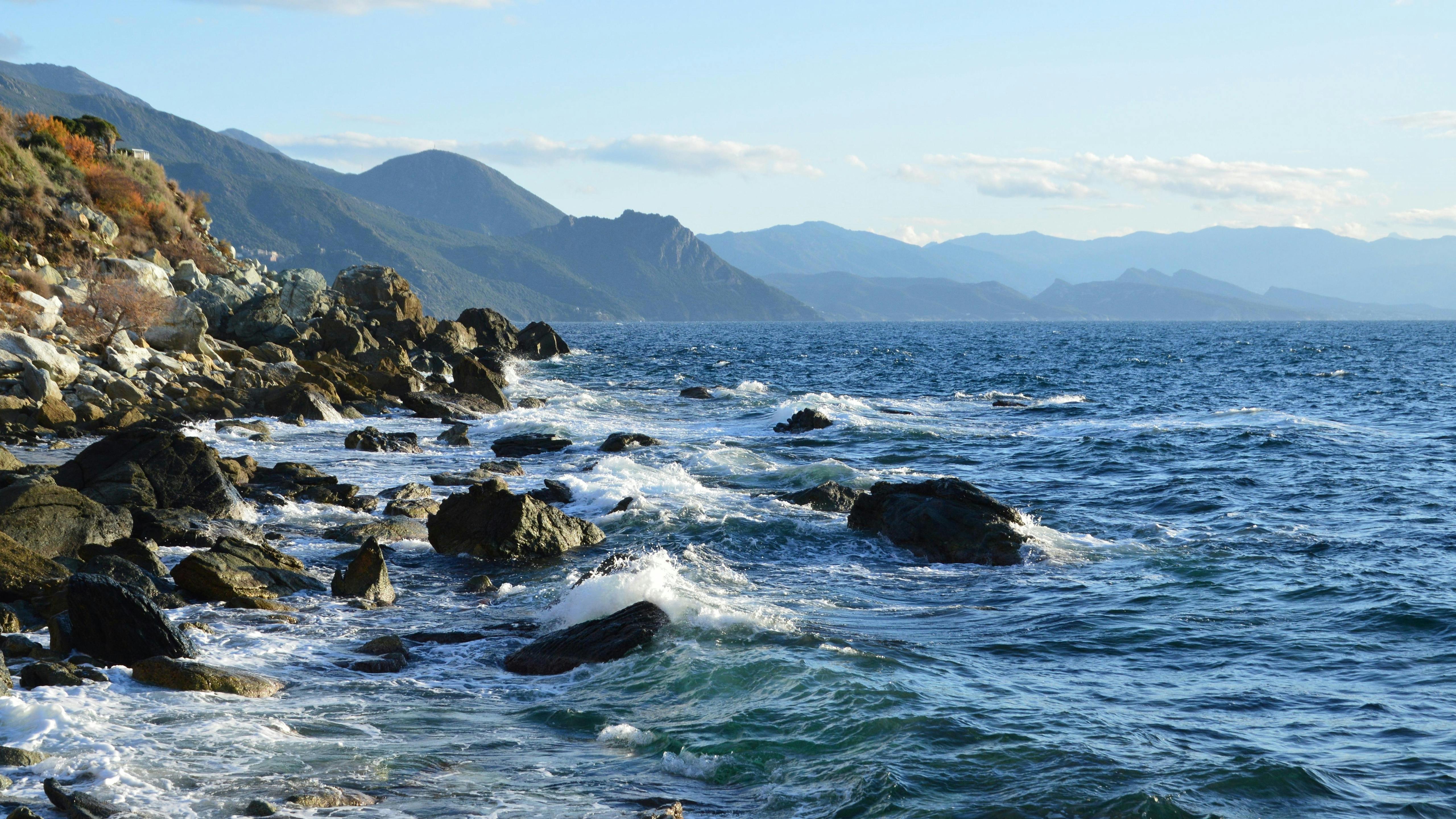 File:Canari-Canelle.jpg - Wikimedia Commons, image size:1260x709