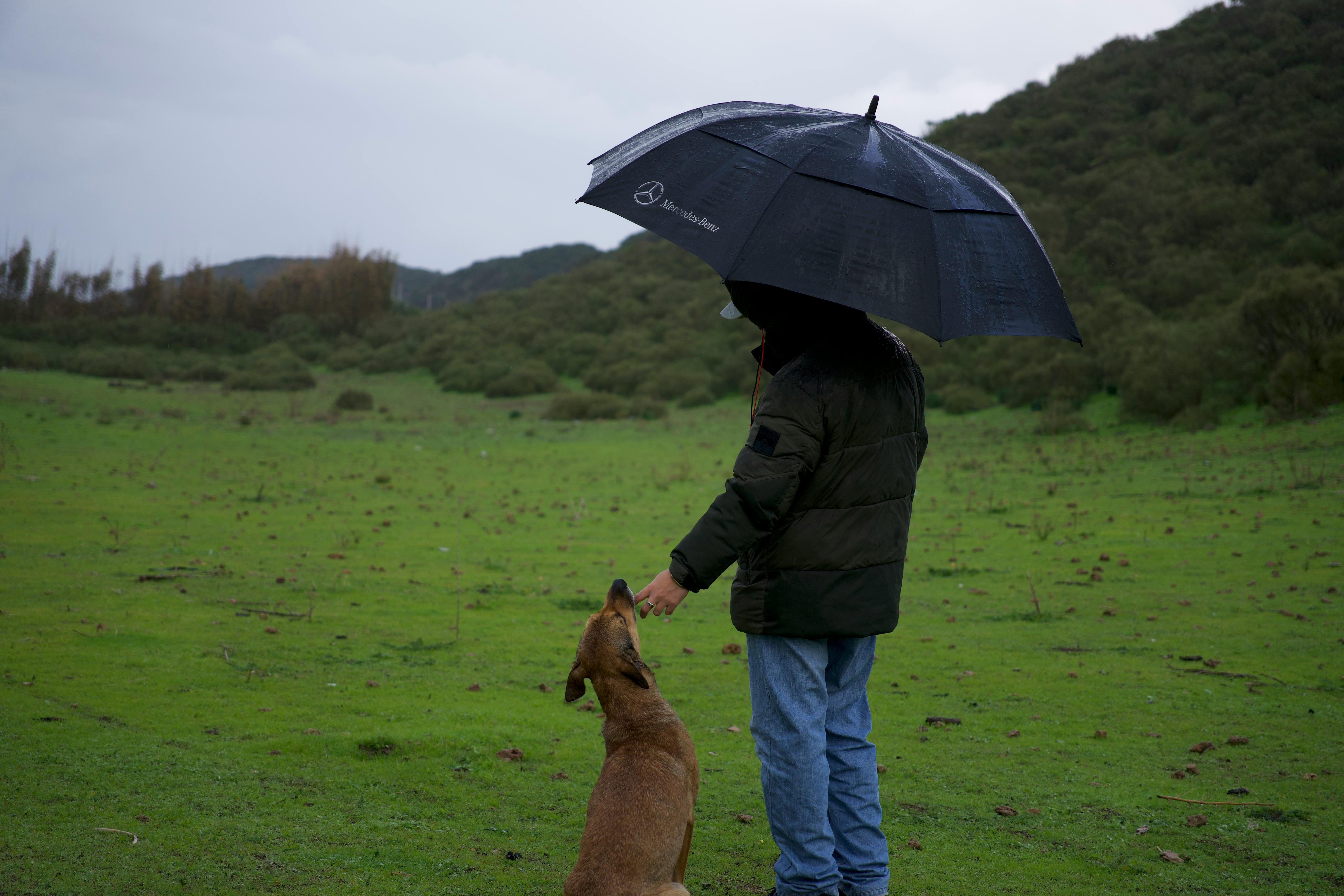 grates honde in veel gemeente!!!