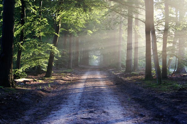 Golden hour landscape photography