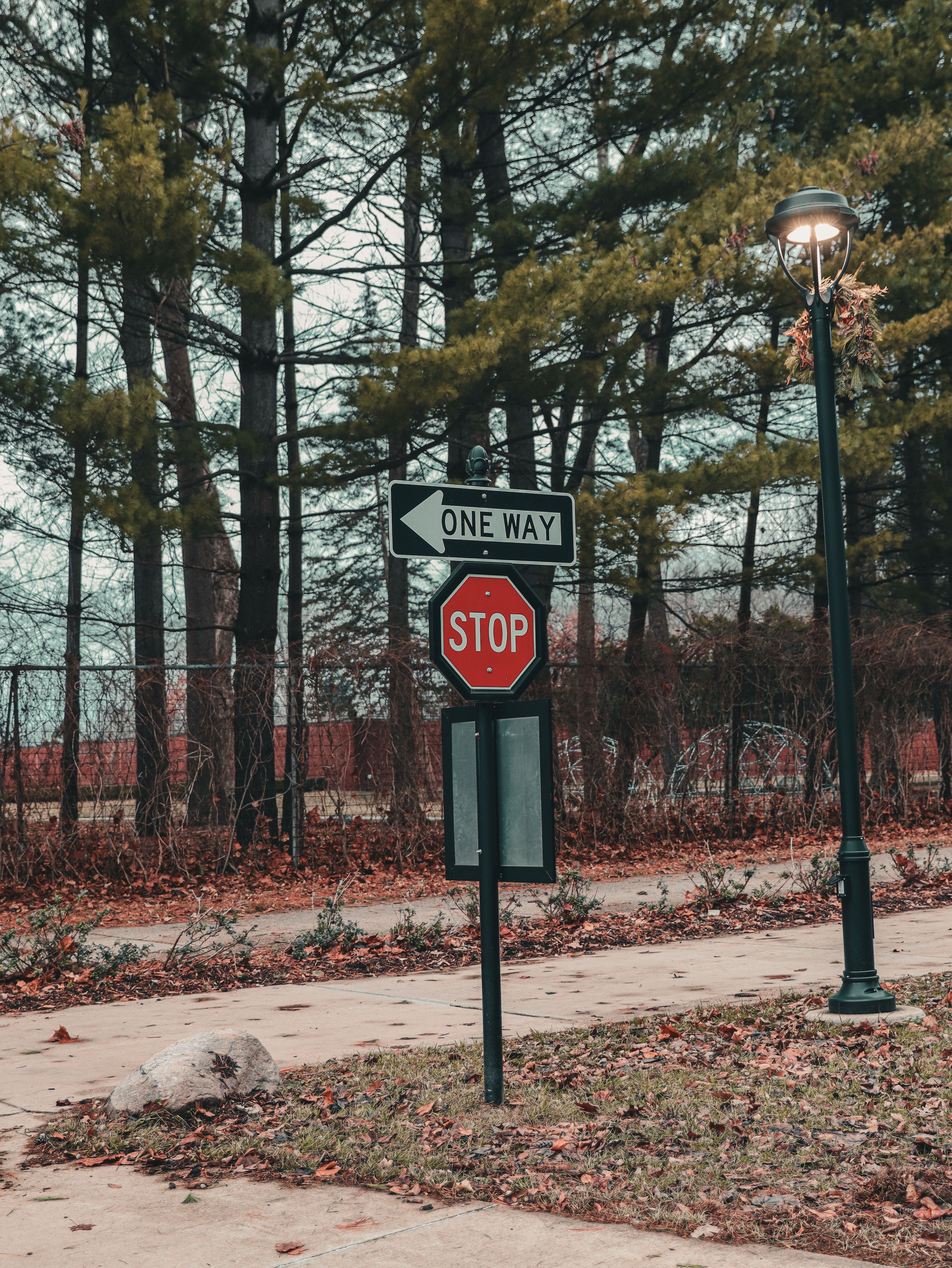One Way and Stop Signs in a Forest Trail · Free Stock Photo