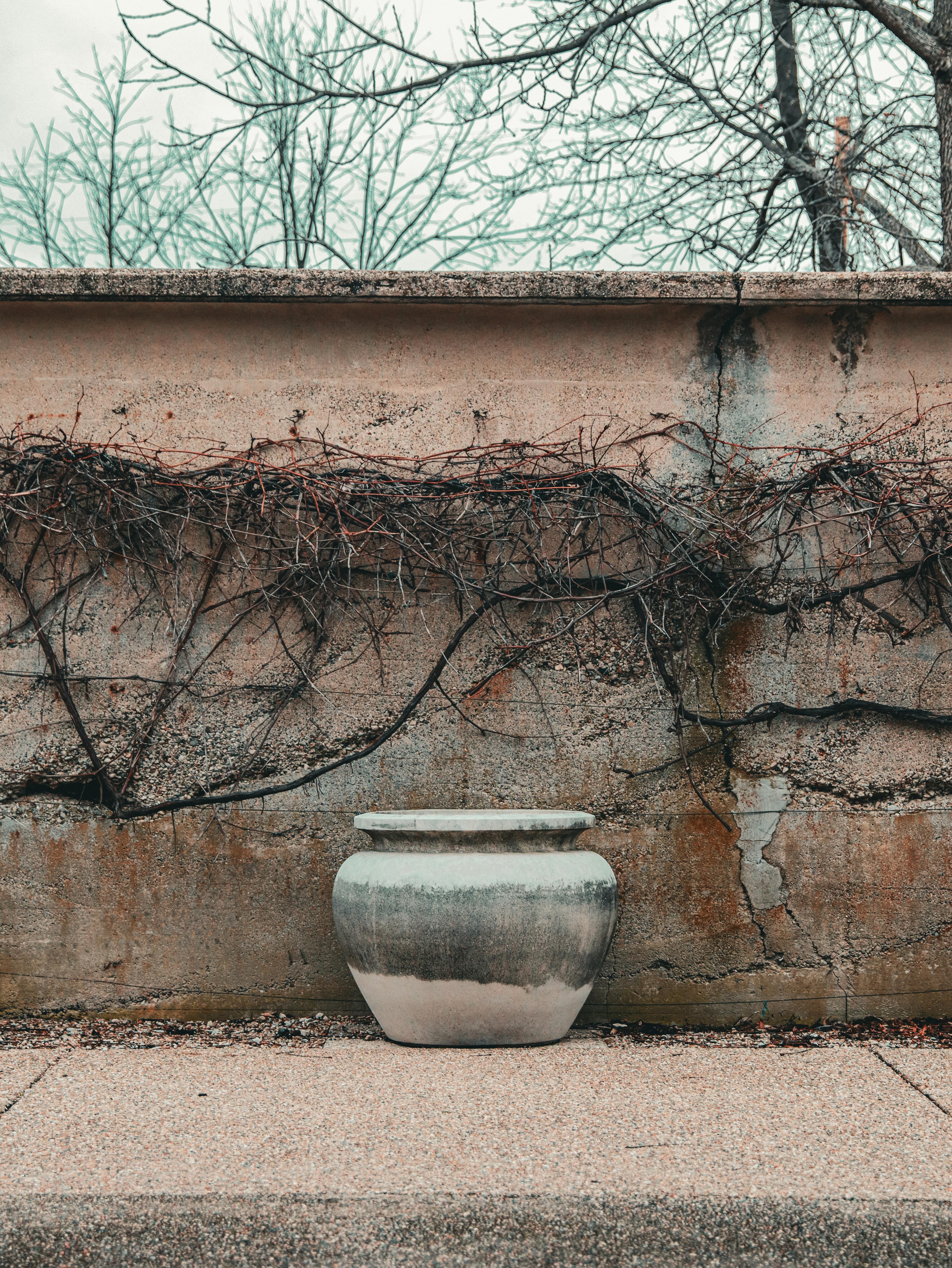 Recipe Inspiration:⁣ Elevating ‌Your ⁣Cooking with ⁢the Vitamix‌ Aer ⁣Container