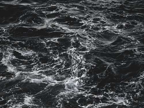 Free Grayscale Photography of Sea Stock Photo