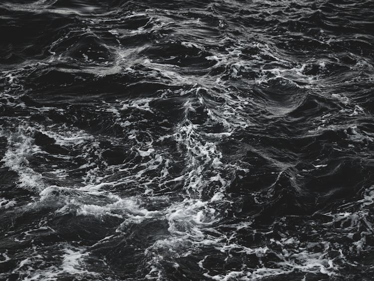 Grayscale Photography Of Sea