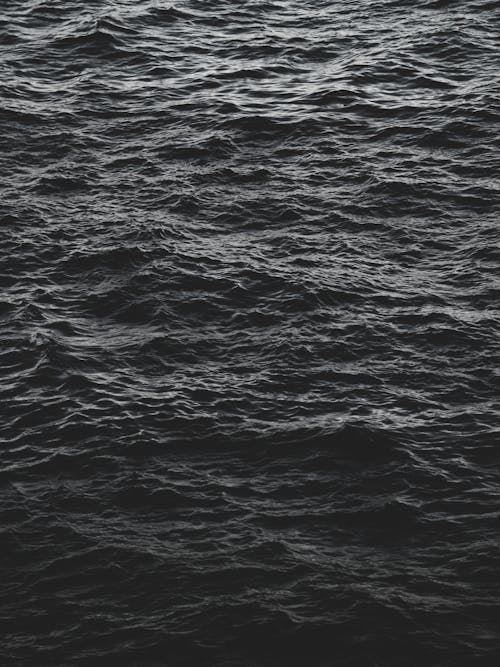 바다의 회색조 사진