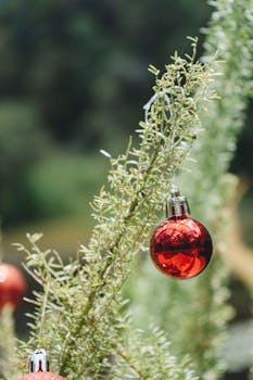 A red Christmas ornament hangs on a tree branch outdoors, capturing the festive spirit.
