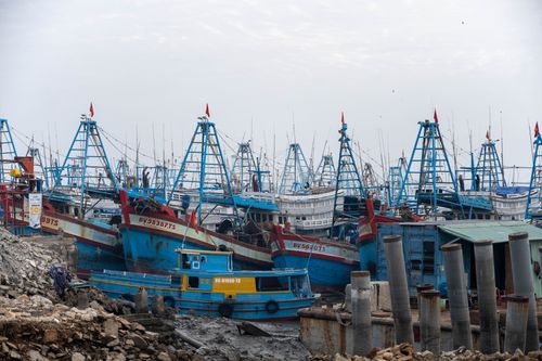 Free A vibrant collection of fishing boats docked in Vũng Tàu, Vietnam, showcasing local maritime culture. Stock Photo