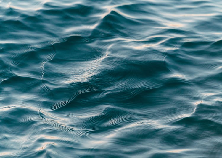 Close-up Photo Of Body Of Water