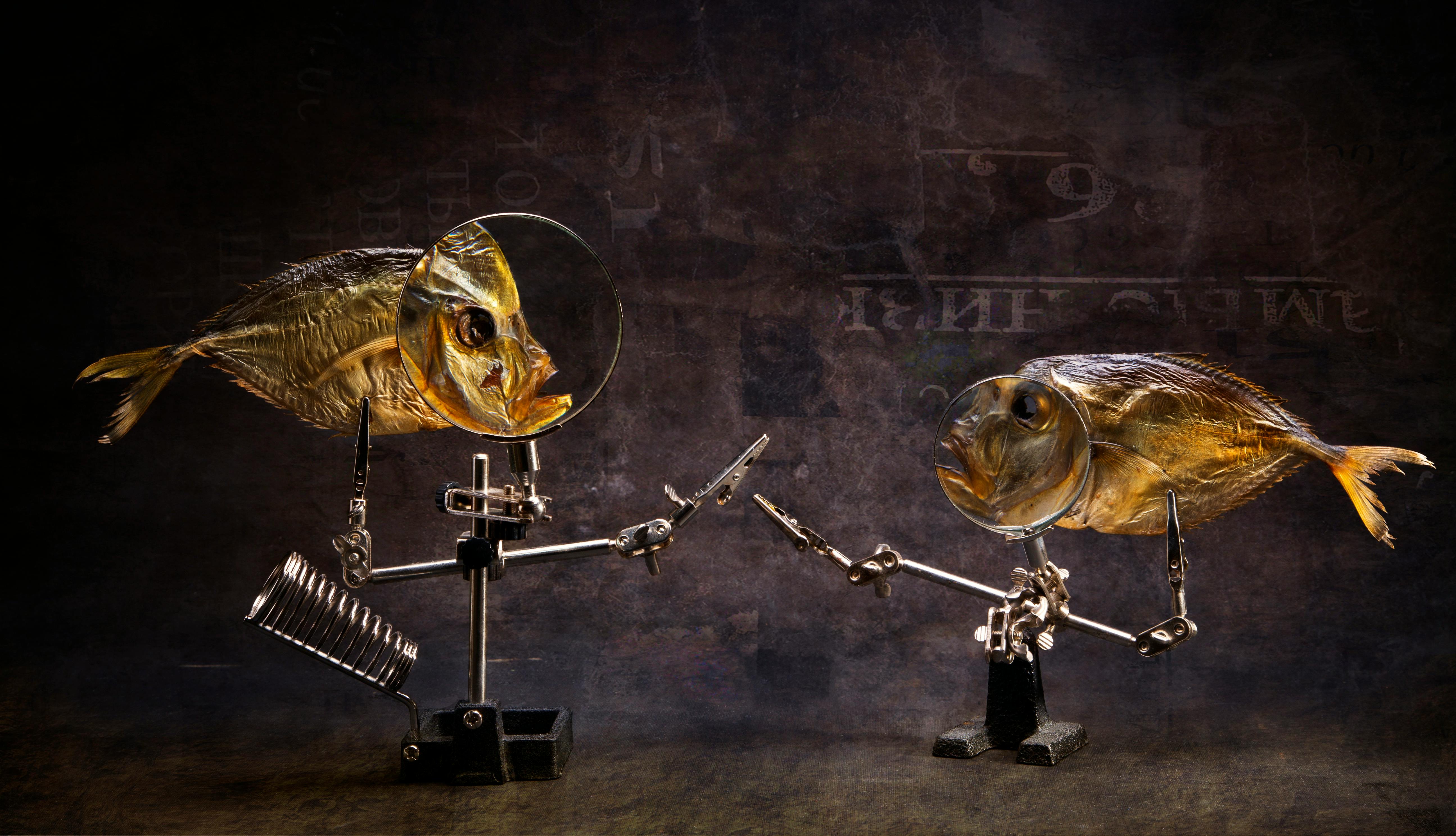 Lexus in the Creek: A Bizarre Incident