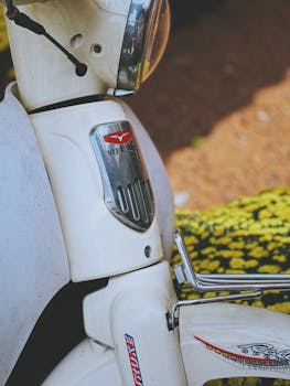 Created with RNI Films app. Profile 'Kodak E 200'