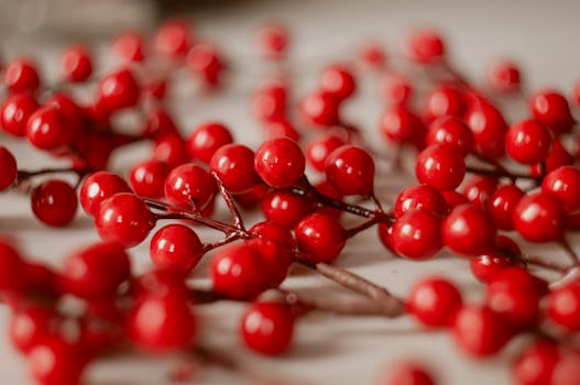Close-up view of vibrant red berries with a vintage aesthetic, ideal for seasonal decor.
