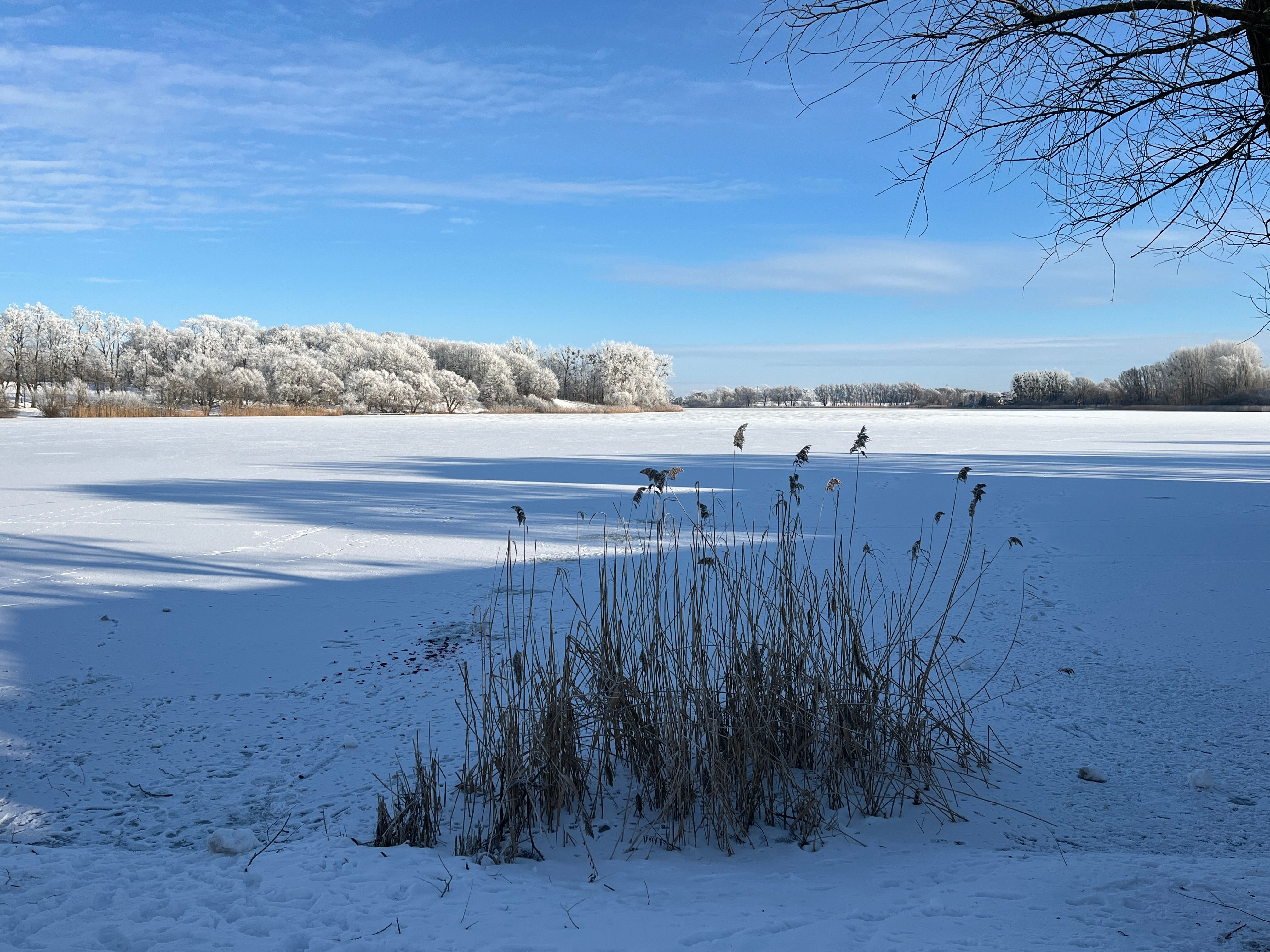 Cold+Pfp Photos, Download The BEST Free Cold+Pfp Stock Photos & HD Images