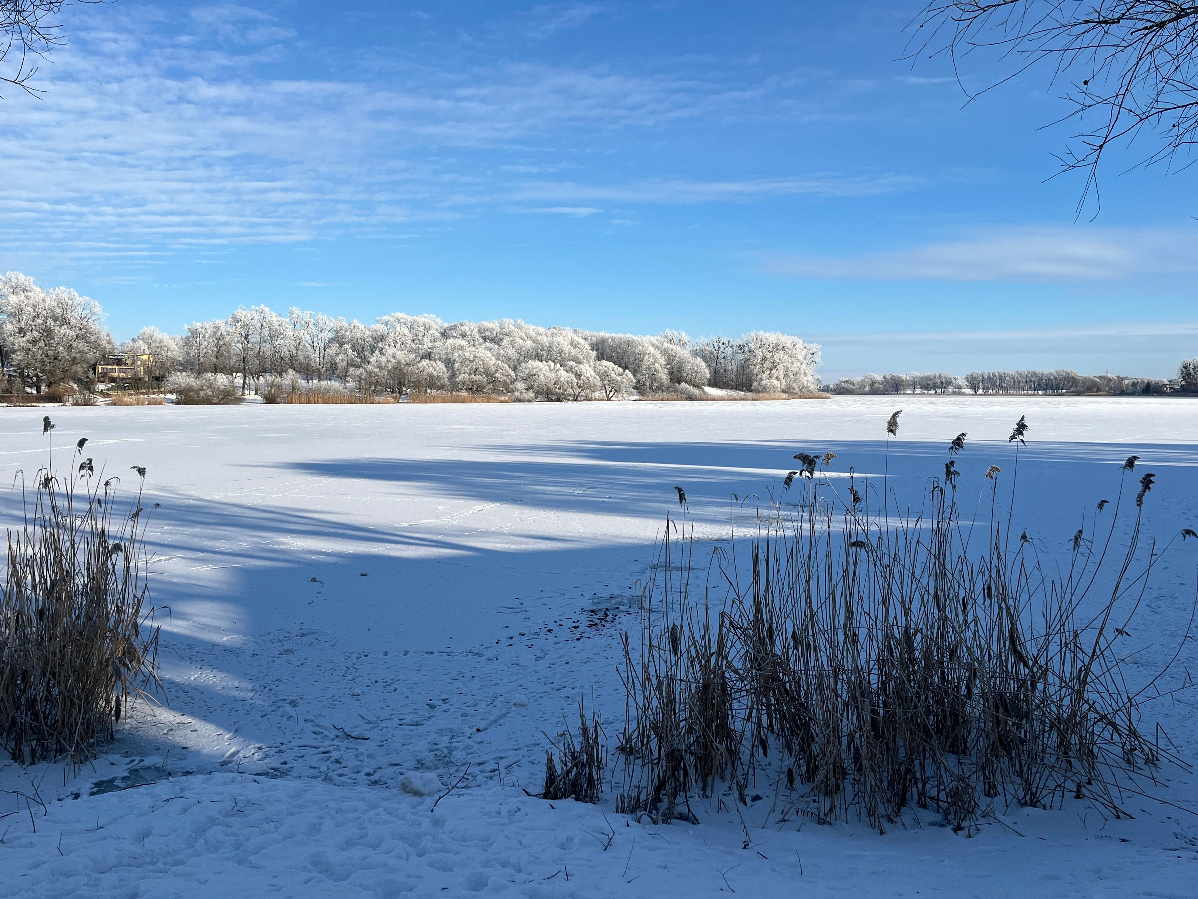 Winter Landscape with Frosted Trees in Sztum · Free Stock Photo