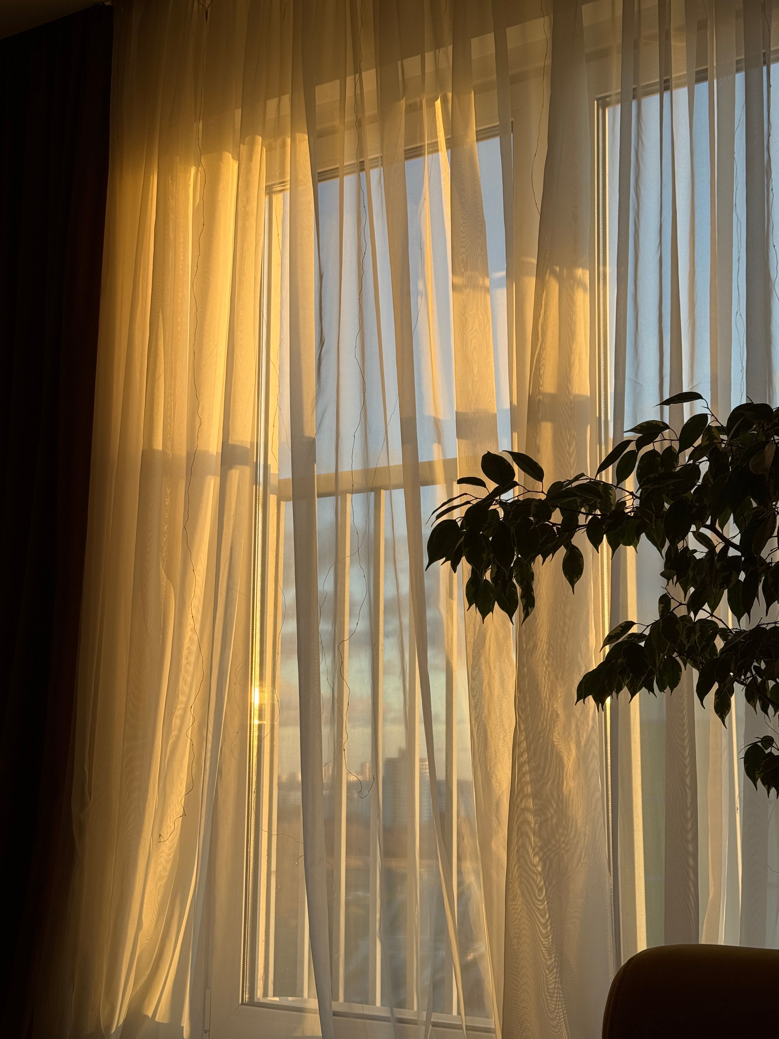 Voilage clair tombant du plafond au sol devant une fenêtre à contre-jour, plis verticaux réguliers