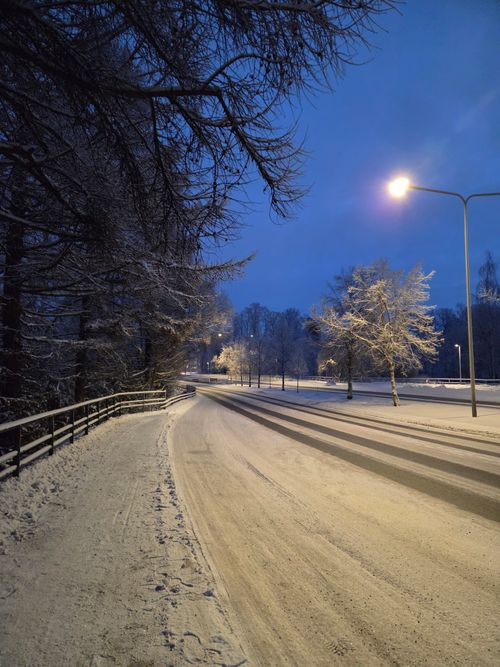 Free A serene snowy road scene at dusk with streetlights illuminating trees covered in snow. Stock Photo
