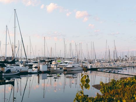 A tranquil view of a marina with sailboats reflecting on calm waters in San Diego at sunrise.