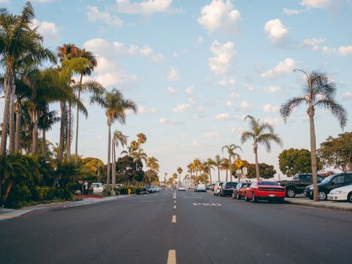 Free Scenic view of a palm-lined street in San Diego with parked cars and a clear sky. Stock Photo