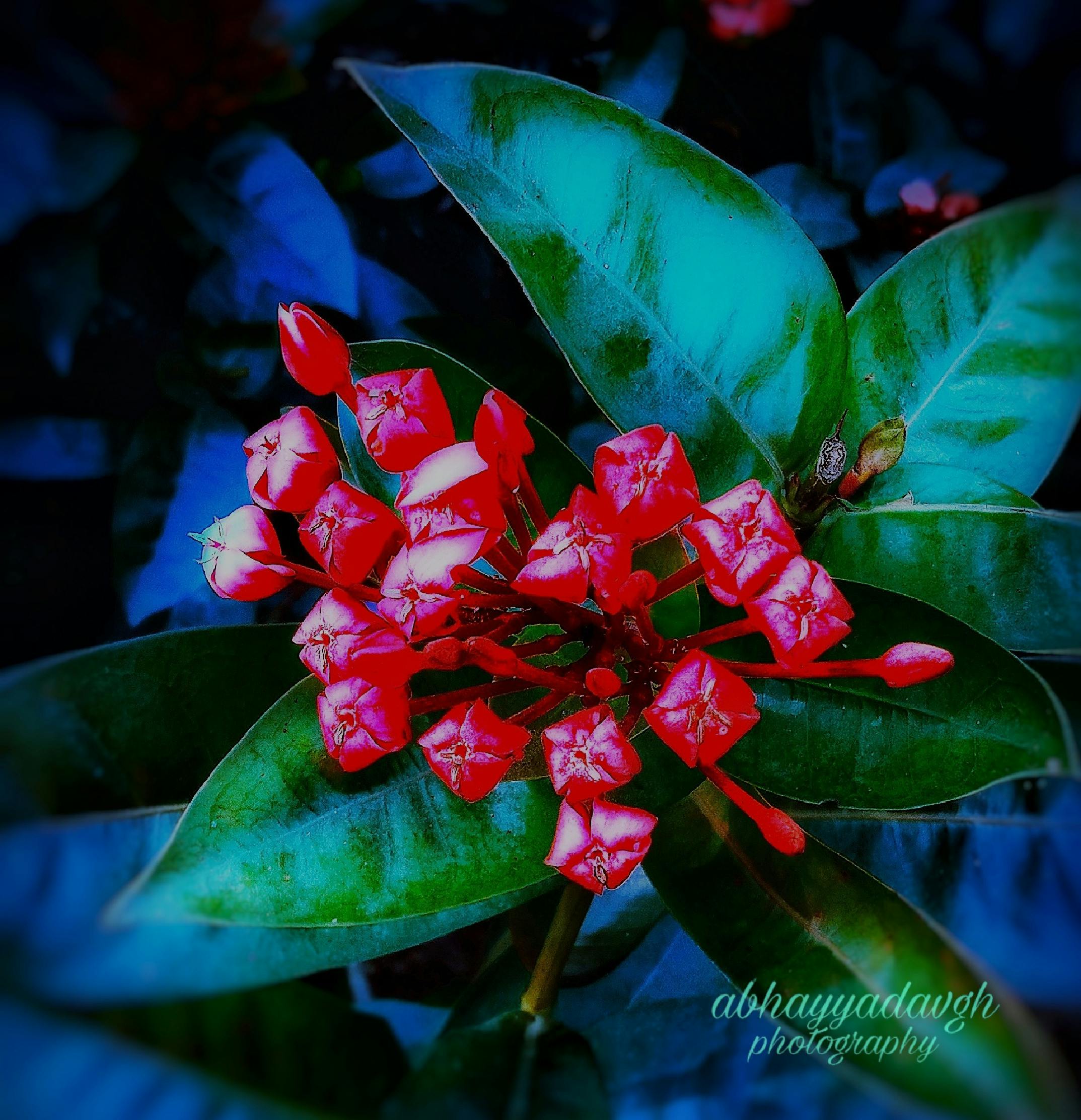 Doctor and patient discussing advanced genetic therapy options