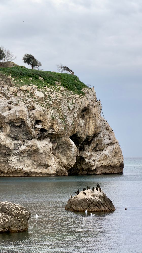 Sea cliffs above open water