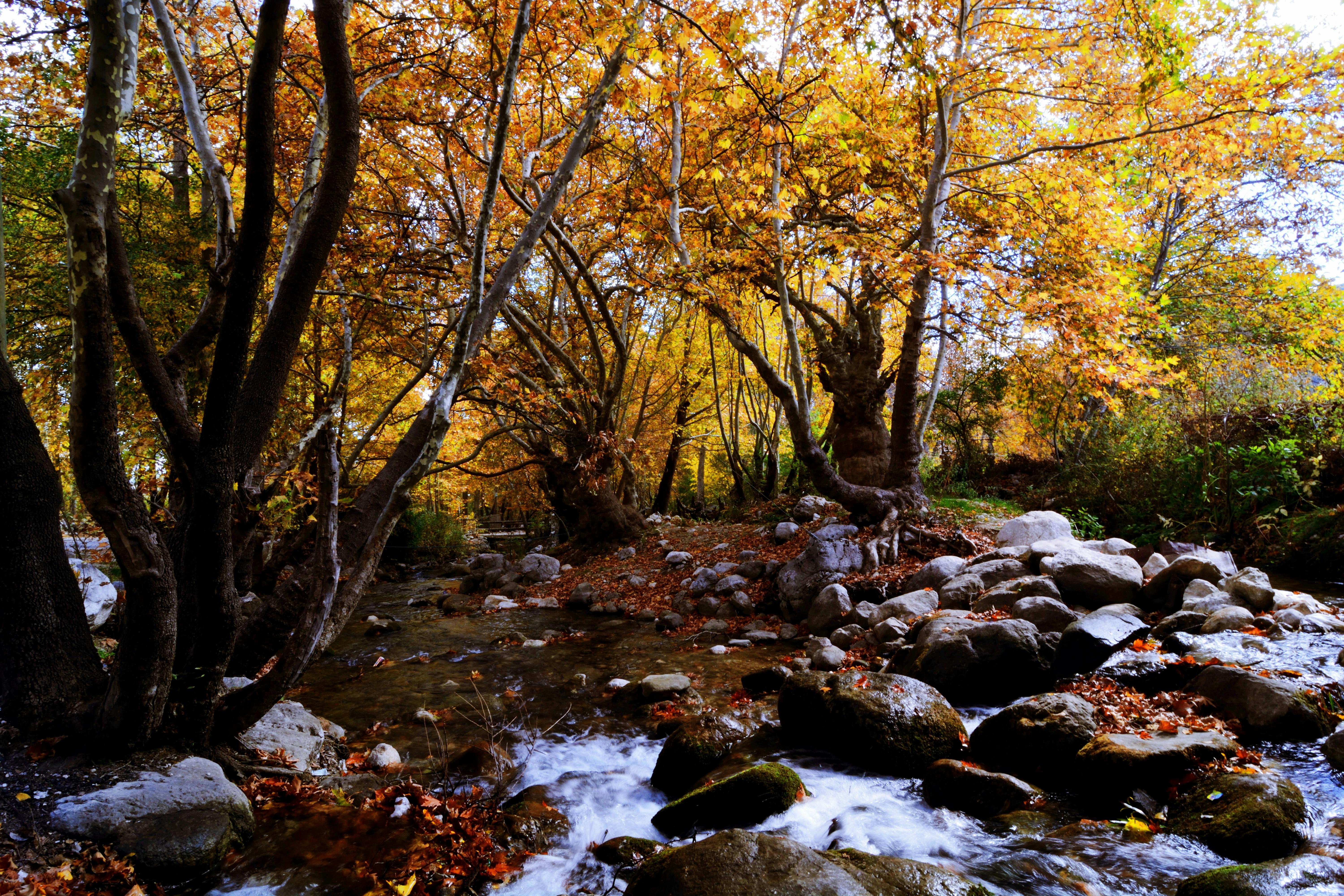 Gombe Stream National Park