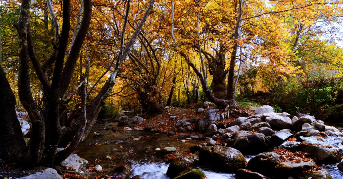 Gombe Stream National Park