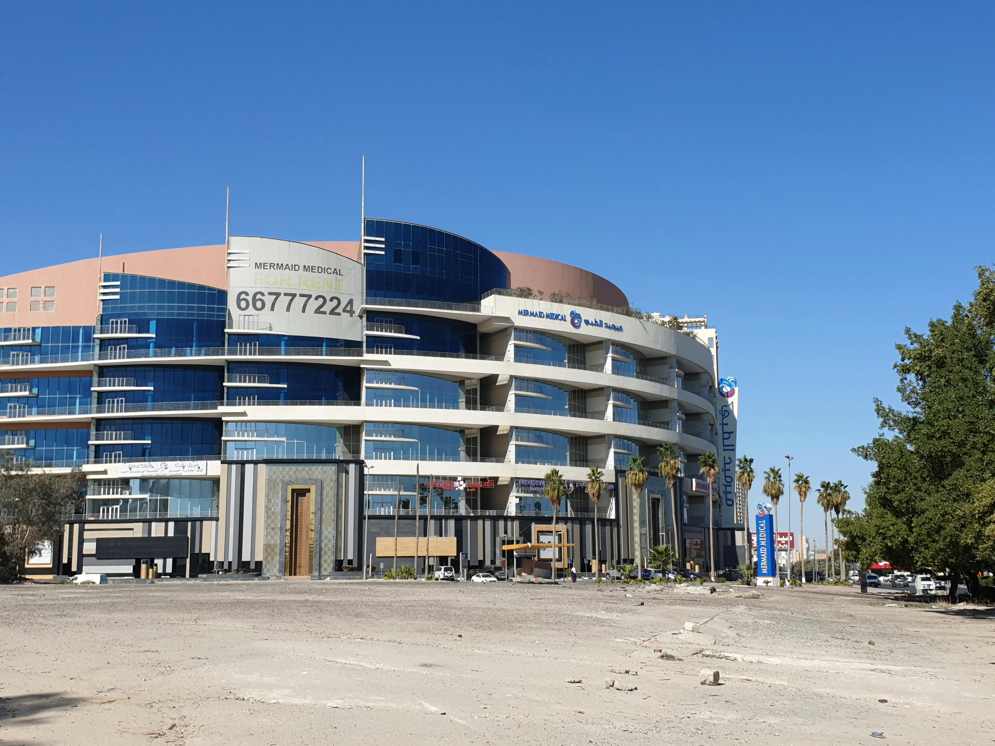 Xantonas: Fuente de Energía y Longevidad | Blog EonLifeX