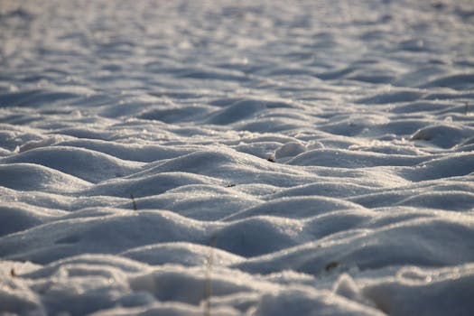 A close-up view of a wavy snow surface glistening in the winter sun outdoors.