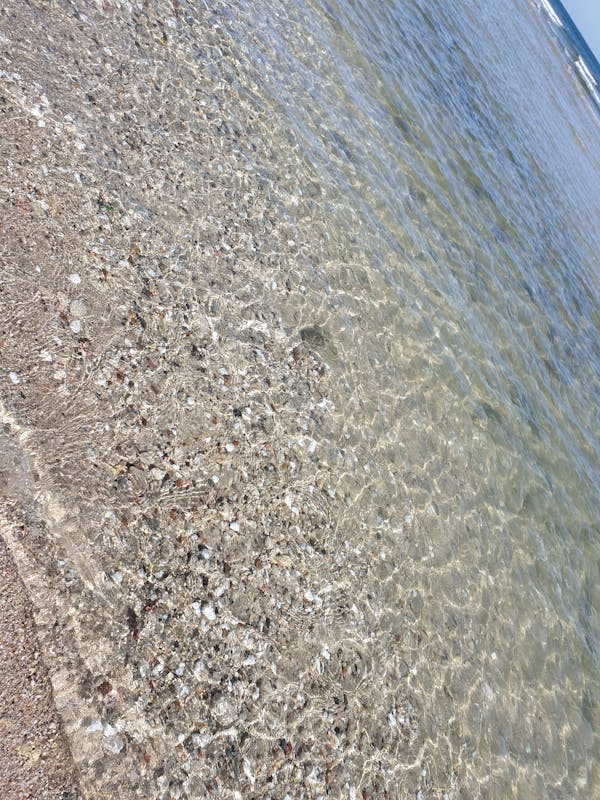 Best Bars in Destin | Top Destin Bars & Nightlife Guide