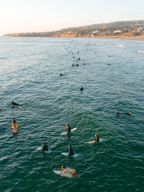 Free A vibrant group of surfers enjoying the ocean waters under a clear sky at dawn. Stock Photo