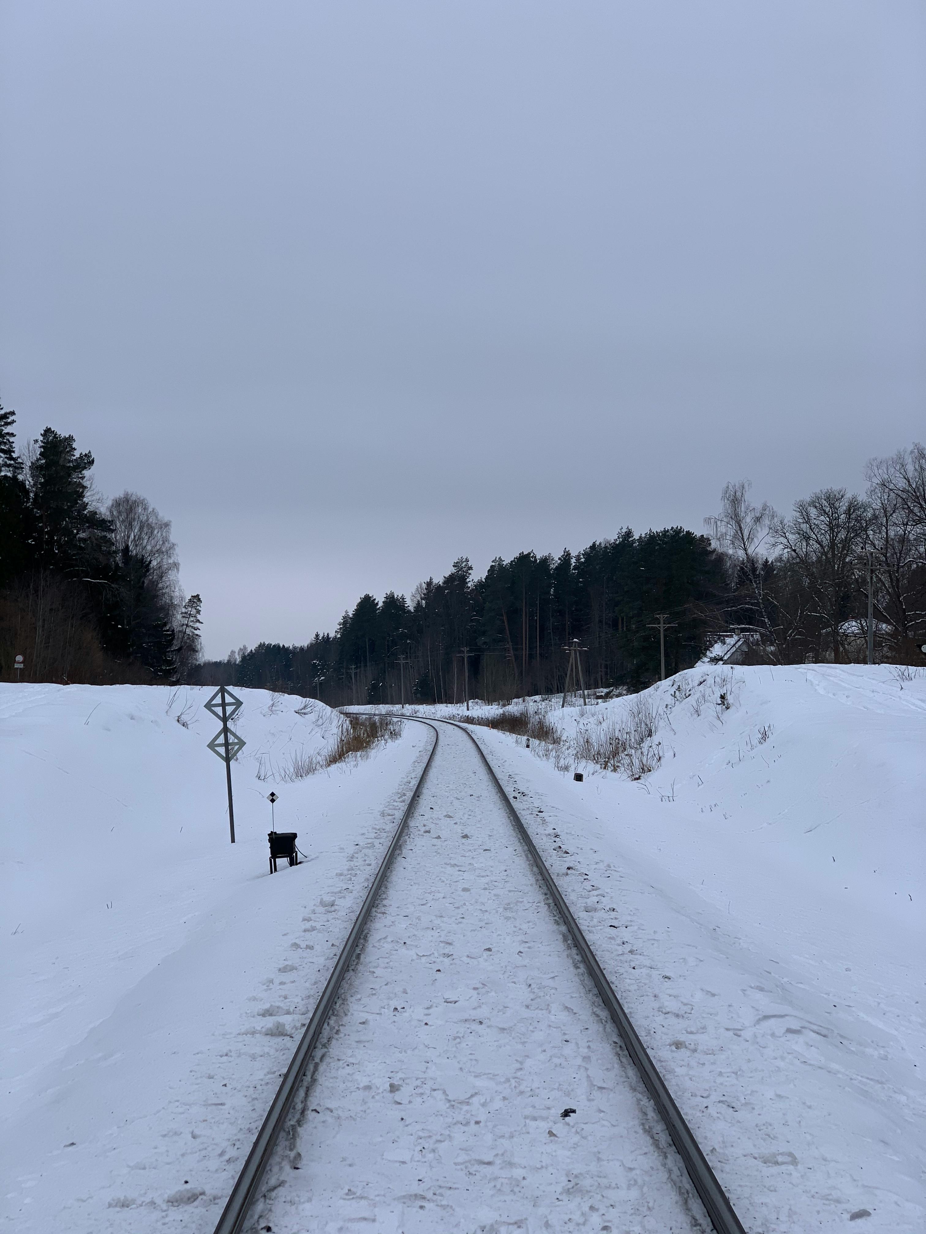 A tranquil snow-covered railway passing through a winter forest under a cloudy sky.