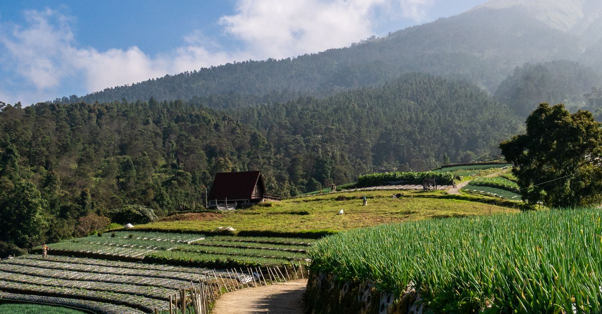 Landscape For Java Sript Scenic Farming Landscape in Central Java, Indonesia · Free Stock Photo