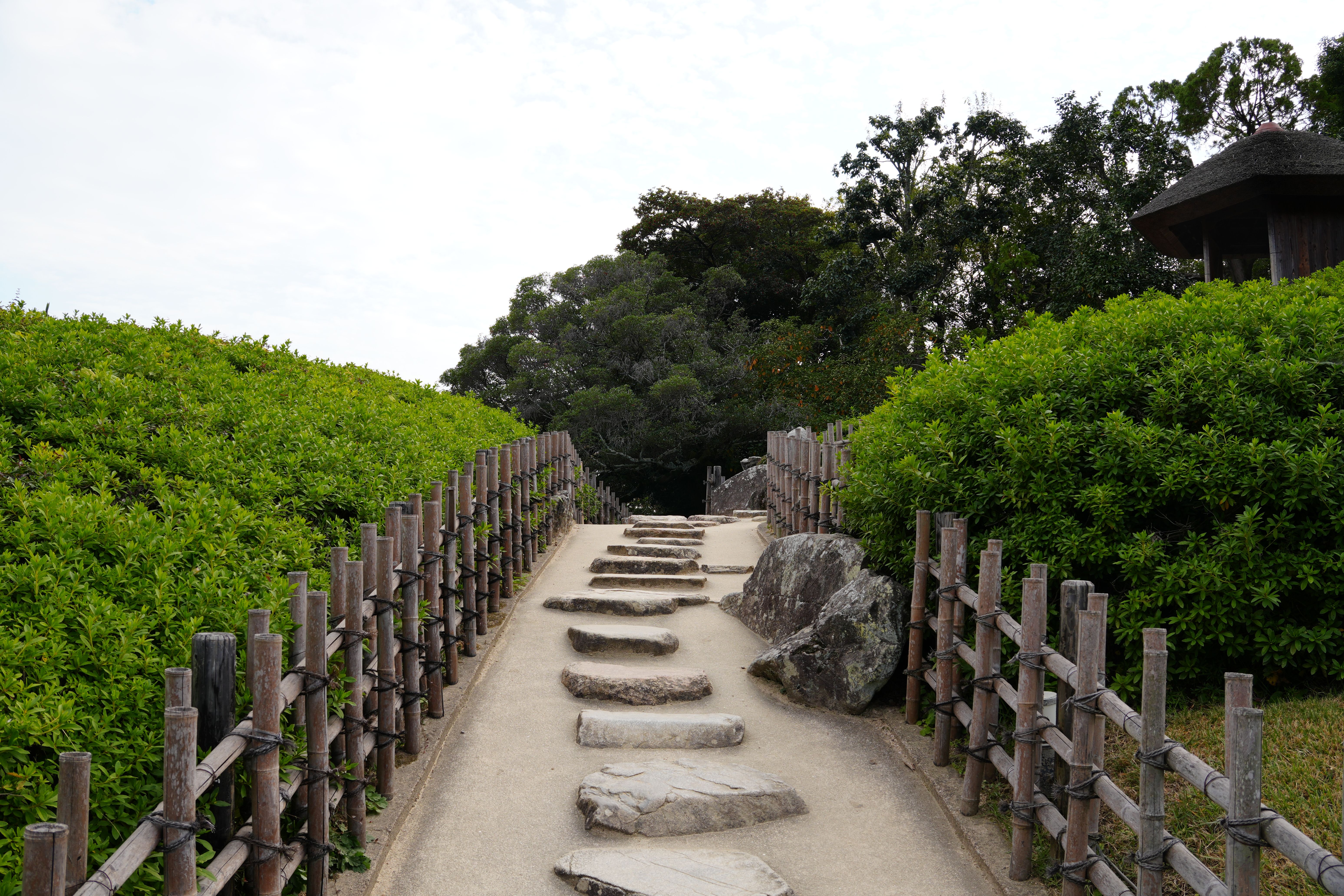 Explore the natural beauty of stone-paved pathways surrounded by lush greenery.